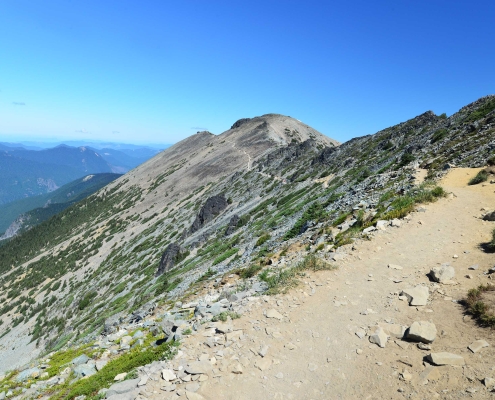 5 epic hikes in Mt. Rainier - Mt. Fremont Lookout trail