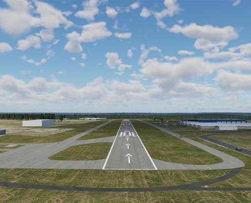 simulation learn to fly contest story